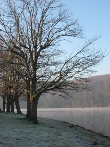 Un beau matin d'hiver